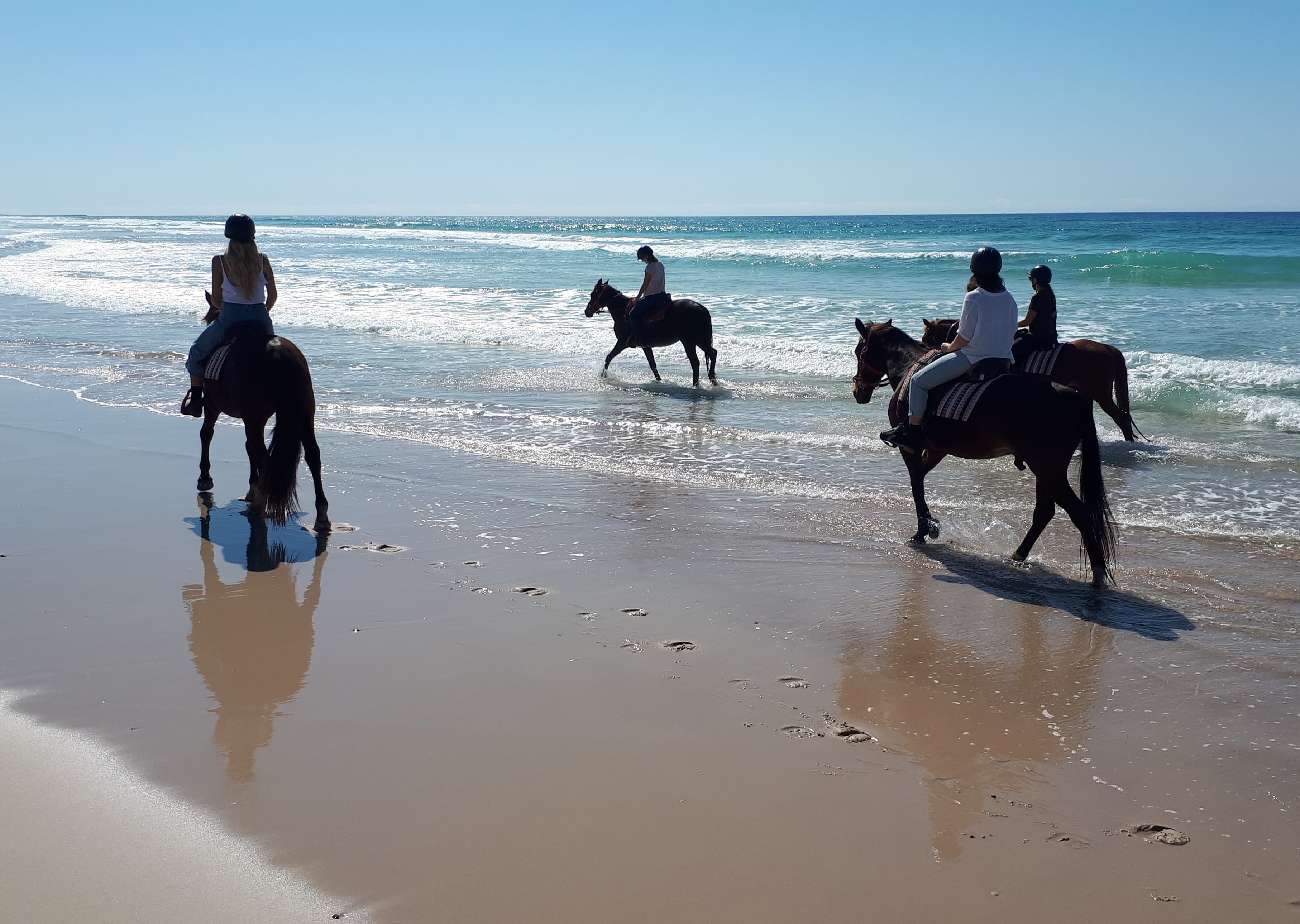 Tassiriki Ranch Horse Riding Holiday Cabins Ballina Nsw