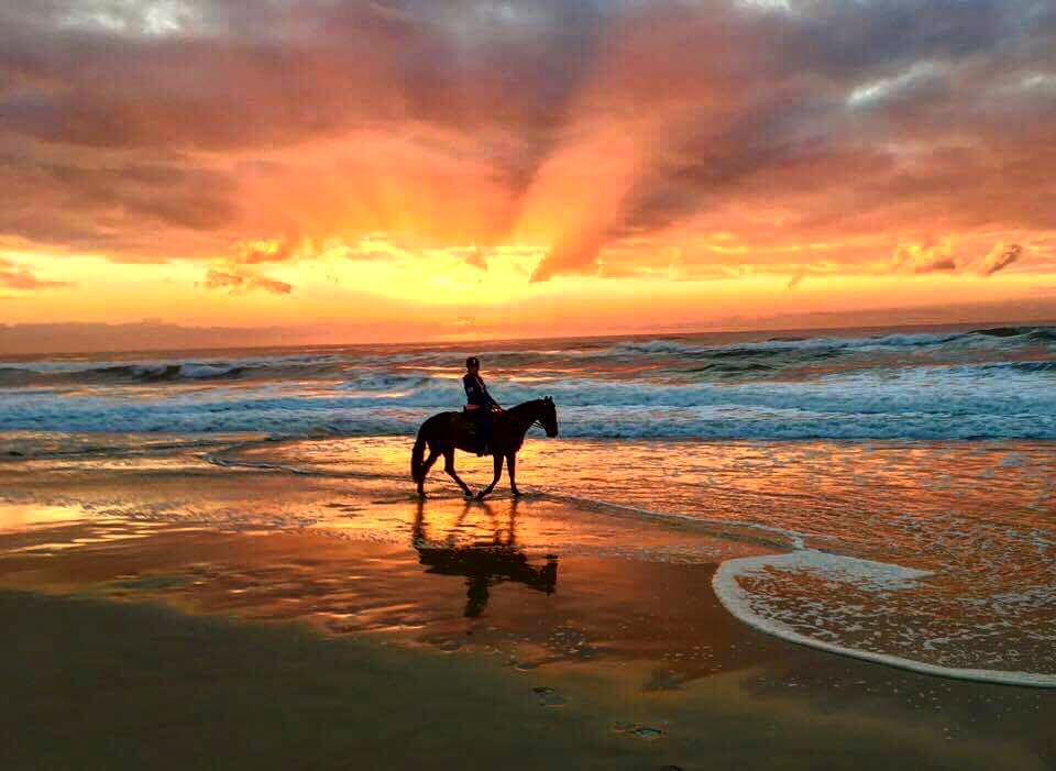 Tassiriki Ranch Beach Horse Riding Holidays With Your Own